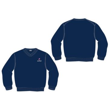 Jersey algodón